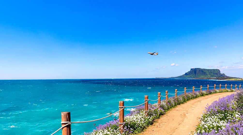 제주항공 방학 ON, 특가 ON. 최대 77% 할인🌊 안내 이미지
