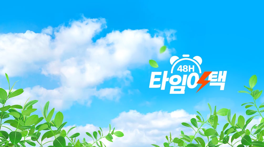 제주항공 8월 마감 특가! 48시간 타임 안내 이미지