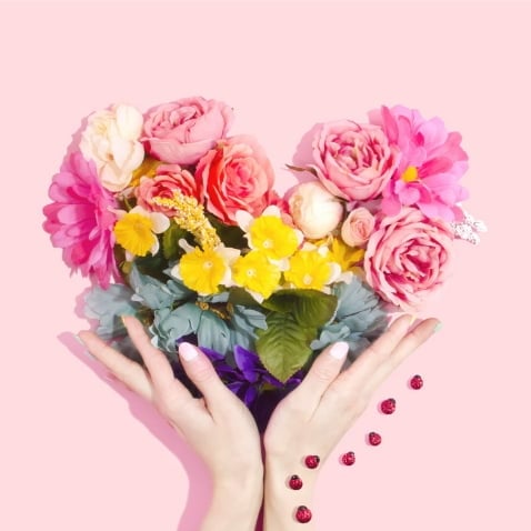 Proposal